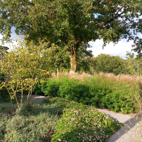 Abords d'un funérarium à Barvaux-sur-Ourthe